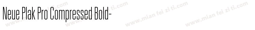 Neue Plak Pro Compressed Bold字体转换